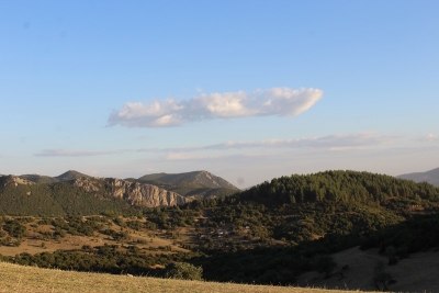 &Delta;&Epsilon;&Lambda;&Tau;&Iota;&Omicron; &Tau;&Upsilon;&Pi;&Omicron;&Upsilon; - &Alpha;&nu;&alpha;&kappa;&omicron;ί&nu;&omega;&sigma;&eta; &tau;&eta;&sigmaf; &Omicron;&rho;&gamma;&alpha;&nu;&omega;&tau;&iota;&kappa;ή&sigmaf; &Epsilon;&pi;&iota;&tau;&rho;&omicron;&pi;ή&sigmaf; &tau;&omicron;&upsilon; 2&omicron;&upsilon; &Omicron;&rho;&epsilon;&iota;&beta;&alpha;&tau;&iota;&kappa;&omicron;ύ &Alpha;&gamma;ώ&nu;&alpha; &Tau;&sigma;&alpha;&rho;&iota;&tau;&sigma;ά&nu;&eta;&sigmaf;