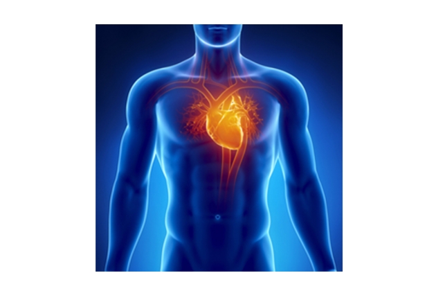 &Pi;&rho;&omicron;&lambda;&eta;&pi;&tau;&iota;&kappa;ό&sigmaf; &kappa;&alpha;&rho;&delta;&iota;&omicron;&lambda;&omicron;&gamma;&iota;&kappa;ό&sigmaf; έ&lambda;&epsilon;&gamma;&chi;&omicron;&sigmaf; &alpha;&theta;&lambda;&eta;&tau;ώ&nu;