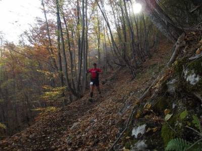 3&omicron;&sigmaf; O&rho;&epsilon;&iota;&nu;ό&sigmaf; &eta;&mu;&iota;&mu;&alpha;&rho;&alpha;&theta;ώ&nu;&iota;&omicron;&sigmaf; &Kappa;&iota;&lambda;&kappa;ί&sigmaf;