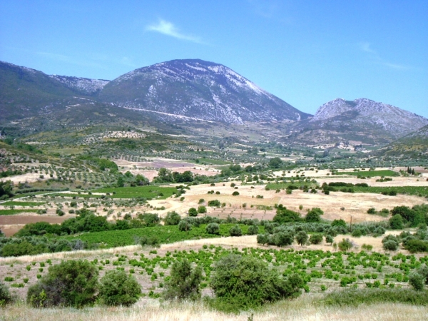 1&omicron;&sigmaf; &Delta;&rho;ό&mu;&omicron;&sigmaf; &tau;&omega;&nu; &Mu;&omicron;&upsilon;&sigma;ώ&nu;