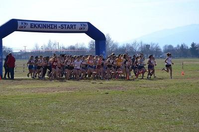 &Omicron;&iota; &sigma;&upsilon;&mu;&mu;&epsilon;&tau;&omicron;&chi;έ&sigmaf; &sigma;&tau;&omicron; &Pi;&alpha;&nu;&epsilon;&lambda;&lambda;ή&nu;&iota;&omicron; &Pi;&rho;&omega;&tau;ά&theta;&lambda;&eta;&mu;&alpha; &sigma;&epsilon; &alpha;&nu;ώ&mu;&alpha;&lambda;&omicron; έ&delta;&alpha;&phi;&omicron;&sigmaf; (25/2)