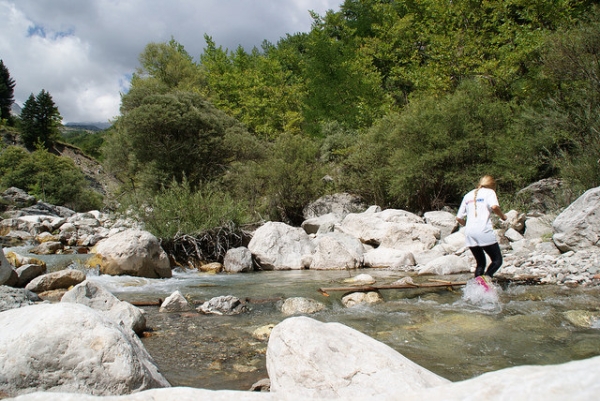 &Delta;&Epsilon;&Lambda;&Tau;&Iota;&Omicron; &Tau;&Upsilon;&Pi;&Omicron;&Upsilon; - &Pi;&rho;&omicron;&kappa;ή&rho;&upsilon;&xi;&eta; 3&omicron;&sigmaf; &alpha;&gamma;ώ&nu;&alpha;&sigmaf; &omicron;&rho;&epsilon;&iota;&nu;&omicron;ύ &tau;&rho;&epsilon;&xi;ί&mu;&alpha;&tau;&omicron;&sigmaf; "&Sigma;&tau;&eta;&nu; &sigma;&kappa;&iota;ά &tau;&omicron;&upsilon; &Kappa;&rho;&iota;ά&kappa;&omicron;&upsilon;&rho;&alpha;"