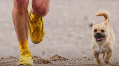 &Sigma;&kappa;&upsilon;&lambda;ί&tau;&sigma;&alpha; &delta;&iota;έ&nu;&upsilon;&sigma;&epsilon; 125 &chi;&iota;&lambda;&iota;ό&mu;&epsilon;&tau;&rho;&alpha; &pi;&lambda;ά&iota; &sigma;&epsilon; &upsilon;&pi;&epsilon;&rho;&mu;&alpha;&rho;&alpha;&theta;&omega;&nu;&omicron;&delta;&rho;ό&mu;&omicron; &kappa;&alpha;&iota; &alpha;&pi;ό &tau;ό&tau;&epsilon; έ&gamma;&iota;&nu;&alpha;&nu; &alpha;&chi;ώ&rho;&iota;&sigma;&tau;&omicron;&iota;