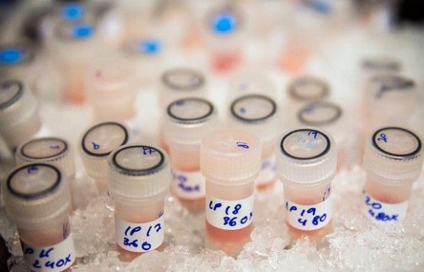 IAAF - &Nu;&tau;&omicron;&pi;έ 28 &alpha;&theta;&lambda;&eta;&tau;έ&sigmaf; &sigma;&epsilon; &delta;ύ&omicron; &pi;&alpha;&gamma;&kappa;ό&sigma;&mu;&iota;&alpha;