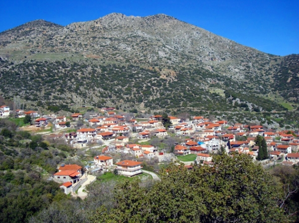 &Delta;&Epsilon;&Lambda;&Tau;&Iota;&Omicron; &Tau;&Upsilon;&Pi;&Omicron;&Upsilon; - &Pi;&rho;&omicron;&kappa;ή&rho;&upsilon;&xi;&eta; 1&omicron;&upsilon; &omicron;&rho;&epsilon;&iota;&nu;&omicron;ύ &eta;&mu;&iota;&mu;&alpha;&rho;&alpha;&theta;ώ&nu;&iota;&omicron;&upsilon; &Alpha;&Rho;&Tau;&Epsilon;&Mu;&Iota;&Sigma;&Iota;&Omicron;&Upsilon; &Omicron;&Rho;&Omicron;&Upsilon;&Sigma; (&Kappa;&Alpha;&Rho;&Upsilon;&Alpha; &Alpha;&Rho;&Gamma;&Omicron;&Lambda;&Iota;&Delta;&Alpha;&Sigma;)