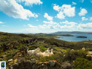 &Delta;&Epsilon;&Lambda;&Tau;&Iota;&Omicron; &Tau;&Upsilon;&Pi;&Omicron;&Upsilon; -  &Alpha;&lambda;&lambda;&alpha;&gamma;ή &eta;&mu;&epsilon;&rho;&omicron;&mu;&eta;&nu;ί&alpha;&sigmaf; &delta;&iota;&epsilon;&xi;&alpha;&gamma;&omega;&gamma;ή&sigmaf; Kimolos Trail 2018!
