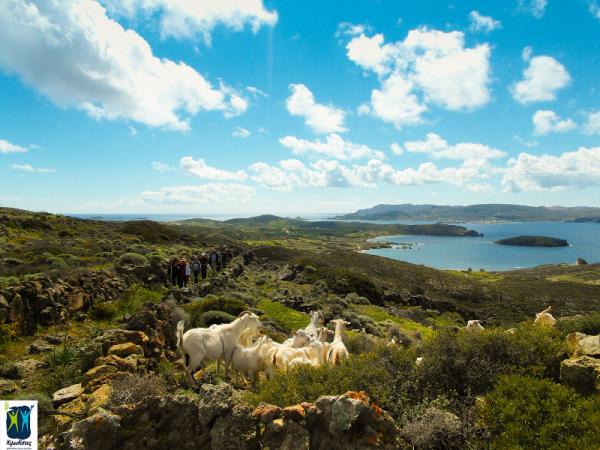 &Delta;&Epsilon;&Lambda;&Tau;&Iota;&Omicron; &Tau;&Upsilon;&Pi;&Omicron;&Upsilon; -  &Alpha;&lambda;&lambda;&alpha;&gamma;ή &eta;&mu;&epsilon;&rho;&omicron;&mu;&eta;&nu;ί&alpha;&sigmaf; &delta;&iota;&epsilon;&xi;&alpha;&gamma;&omega;&gamma;ή&sigmaf; Kimolos Trail 2018!