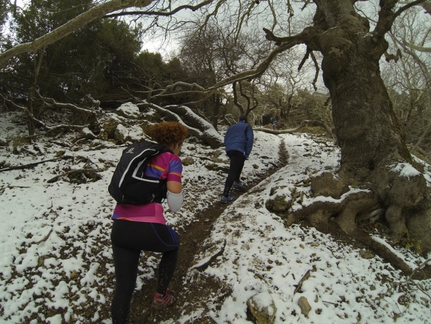 &Delta;&Epsilon;&Lambda;&Tau;&Iota;&Omicron; &Tau;&Upsilon;&Pi;&Omicron;&Upsilon; - &Lambda;ί&gamma;&epsilon;&sigmaf; &mu;έ&rho;&epsilon;&sigmaf; έ&mu;&epsilon;&iota;&nu;&alpha;&nu; &gamma;&iota;&alpha; &tau;&omicron; &kappa;&lambda;&epsilon;ί&sigma;&iota;&mu;&omicron; &tau;&omega;&nu; &epsilon;&gamma;&gamma;&rho;&alpha;&phi;ώ&nu; &sigma;&tau;&omicron;&nu; &alpha;&gamma;ώ&nu;&alpha; Platanopigi Trail Race