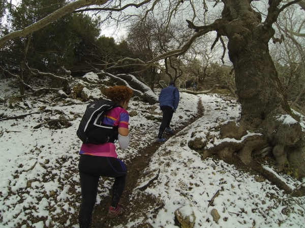 &Delta;&Epsilon;&Lambda;&Tau;&Iota;&Omicron; &Tau;&Upsilon;&Pi;&Omicron;&Upsilon; - &Lambda;ί&gamma;&epsilon;&sigmaf; &mu;έ&rho;&epsilon;&sigmaf; έ&mu;&epsilon;&iota;&nu;&alpha;&nu; &gamma;&iota;&alpha; &tau;&omicron; &kappa;&lambda;&epsilon;ί&sigma;&iota;&mu;&omicron; &tau;&omega;&nu; &epsilon;&gamma;&gamma;&rho;&alpha;&phi;ώ&nu; &sigma;&tau;&omicron;&nu; &alpha;&gamma;ώ&nu;&alpha; Platanopigi Trail Race