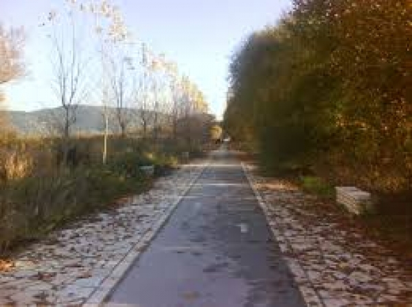 &Delta;&Epsilon;&Lambda;&Tau;&Iota;&Omicron; &Tau;&Upsilon;&Pi;&Omicron;&Upsilon; - &Sigma;&upsilon;&nu;&delta;&upsilon;&alpha;&sigma;&mu;ό&sigmaf; &Kappa;&upsilon;&rho;&iota;&alpha;&kappa;ά&tau;&iota;&kappa;&eta; &pi;&rho;&omicron;&pi;ό&nu;&eta;&sigma;&eta;&sigmaf; &Sigma;&upsilon;&lambda;&lambda;ό&gamma;&omicron;&upsilon; &Delta;&rho;&omicron;&mu;έ&omega;&nu; &Iota;&omega;&alpha;&nu;&nu;ί&nu;&omega;&nu; &mu;&epsilon; &kappa;&alpha;&theta;&alpha;&rho;&iota;ό&tau;&eta;&tau;&alpha; &sigma;&tau;&eta;&nu; &pi;&alpha;&rho;&alpha;&lambda;ί&mu;&nu;&iota;&alpha; &pi;&epsilon;&rho;&iota;&omicron;&chi;ή